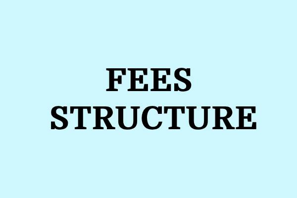 Fees Structure