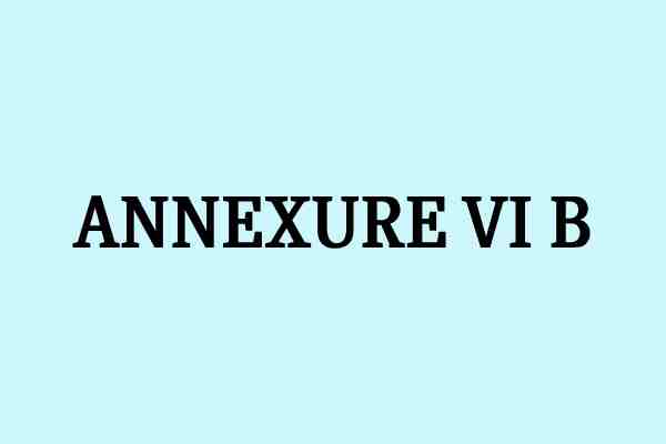 annexure vi b