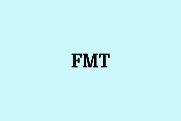 fmt