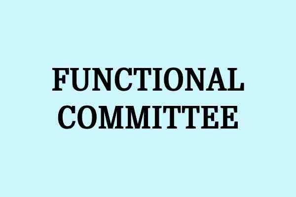 functional committee